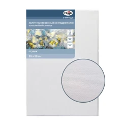 Холст на подрамнике Гамма Студия, 20x30 см, 280 г/м², хлопок, 1 шт, мелкое зерно, белый Холст на подрамнике Гамма Студия, 20x30 см, 280 г/м², хлопок, 1 шт, мелкое зерно, белый