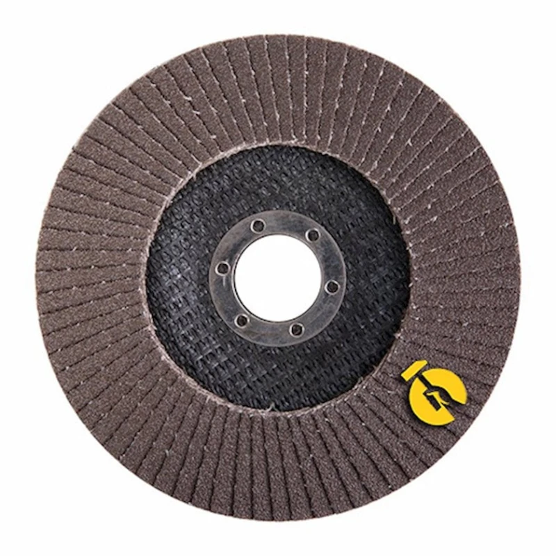 Шлифовальный диск по металлу Dnipro-M 67799001, Р100-KLT, 125х22.2 мм, 5 шт Шлифовальный диск по металлу Dnipro-M 67799001, Р100-KLT, 125х22.2 мм, 5 шт