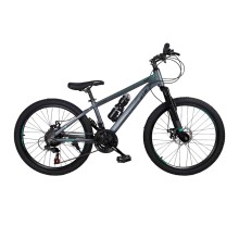 Dağ velosipedi BMX GTR BMX10024G, 24