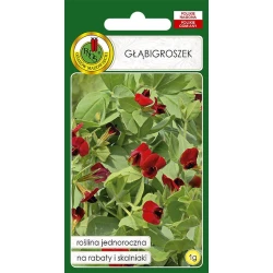 Семена цветов PNOS Glabigroszek, 1 г