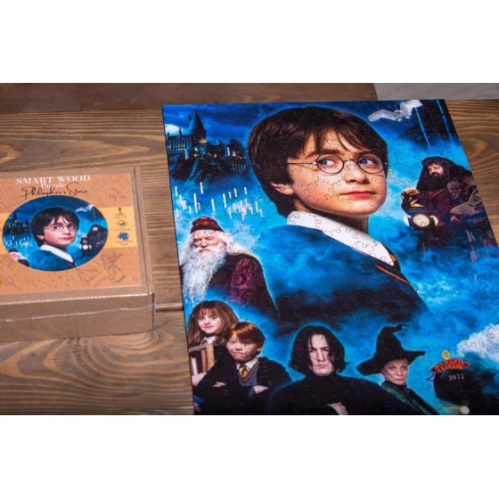 Пазл SmartWood Harry Potter and Philosopher's Stone, 15x15x5 см, 250 элементов