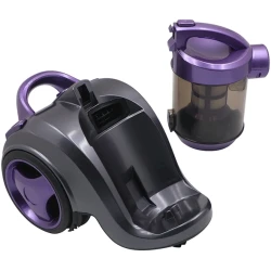 Пылесос RAF R.8662P