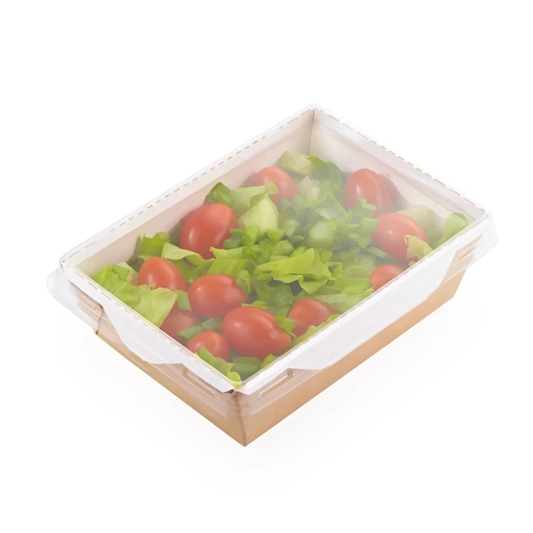 Salat üçün birdəfəlik konteynerlər Loyal-6115548930, 50 əd, qəhvəyi Salat üçün birdəfəlik konteynerlər Loyal-6115548930, 50 əd, qəhvəyi