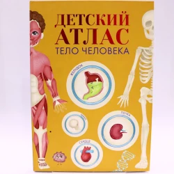Книга Проф-Пресс Детский атлас. Тело человека, автор В.Прилепин