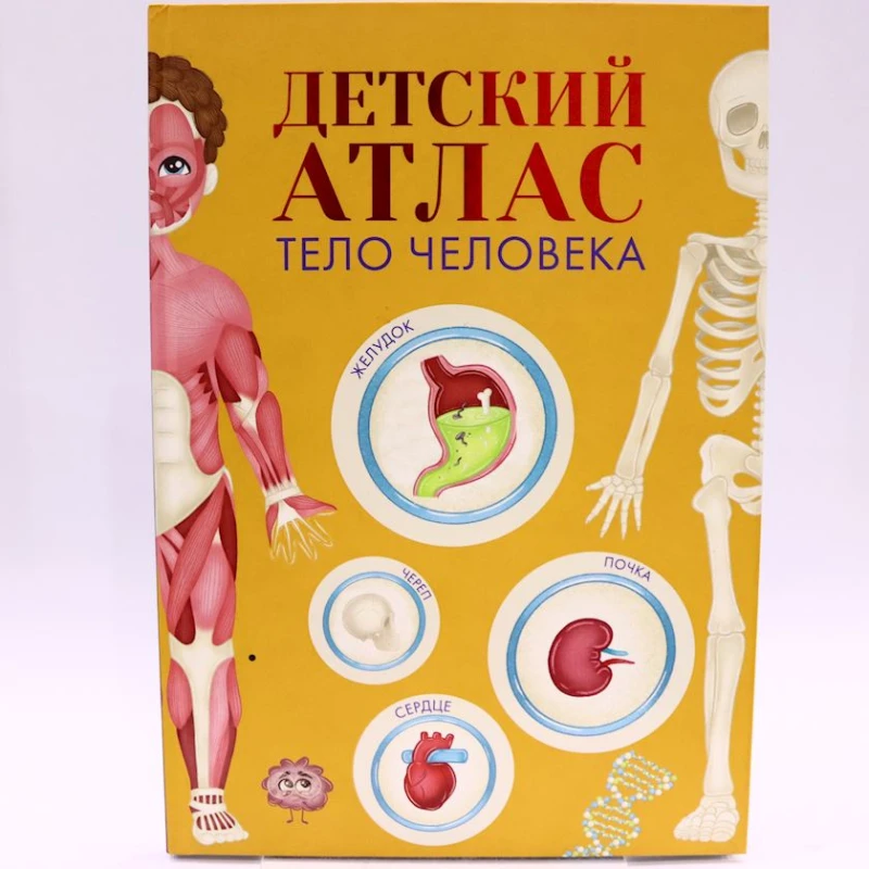 Книга Проф-Пресс Детский атлас. Тело человека, автор В.Прилепин
