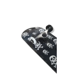 Skeytbord Globe Goodstock 8