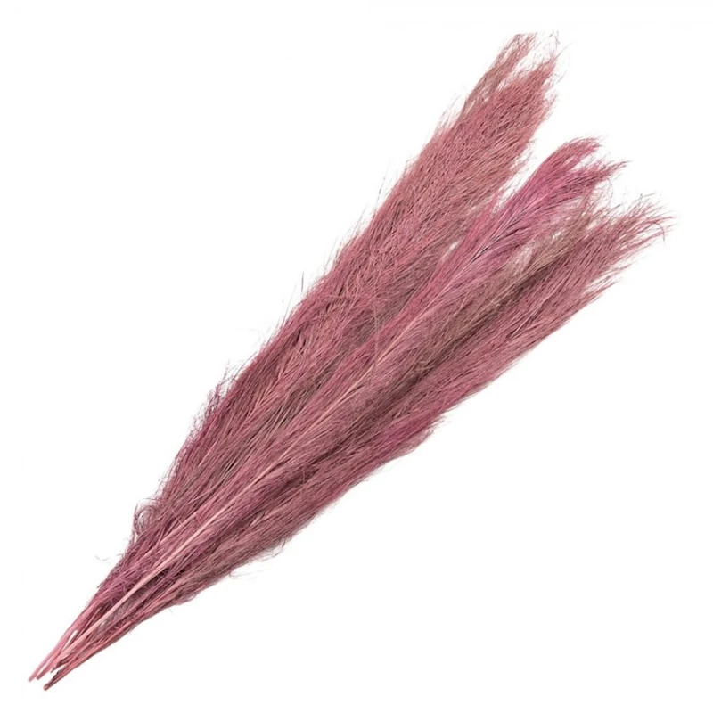 Qurudulmuş çiçəklər Clayre & Eef 5DF0015, 100 sm, qəhvəyi Qurudulmuş çiçəklər Clayre & Eef 5DF0015, 100 sm, qəhvəyi