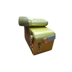 Беспроводная, Портативная колонка с микрофоном. 5768000225