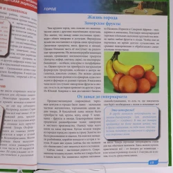 Книга Проф-Пресс Большая детская энциклопедия, автор М.Куруськина