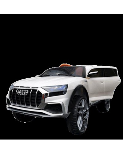 Uşaq elektrik avtomobili Audi 2088, ağ