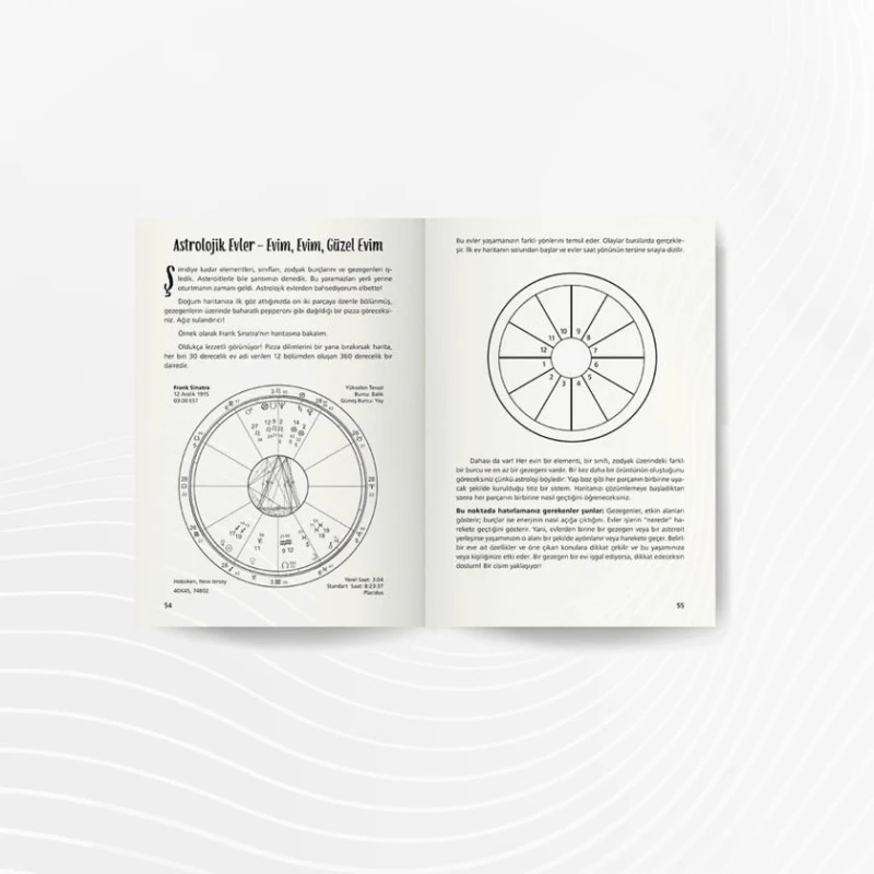 Kitab Gerçek Yaşam İçin Astroloji - Theresa Reed Kitab Gerçek Yaşam İçin Astroloji - Theresa Reed