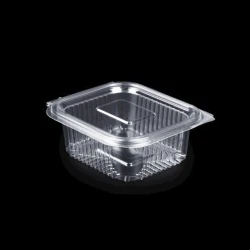 Qida məhsulları üçün konteynerlər Loyal-2541354098, 25 əd, şəffaf Qida məhsulları üçün konteynerlər Loyal-2541354098, 25 əd, şəffaf