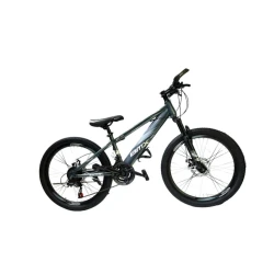 Dağ velosipedi BMX_gy20, boz, ölçü 20