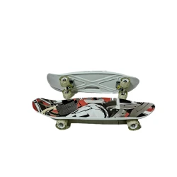 Skeytbord SKTPLNG003, 20х70 sm, rəngbərəng