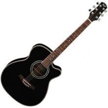 Akustik gitara Flight F-230C BK