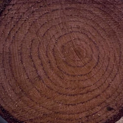 Цветной лак Cadence Colour On Colored Varnish CV-07 Verge, 90 мл