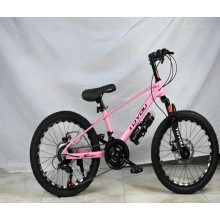 Velosiped Çin 20, 21 sürət, alüminium çərçivə, su qabı - BB-892
