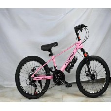 Velosiped Çin 20, 21 sürət, alüminium çərçivə, su qabı - BB-892