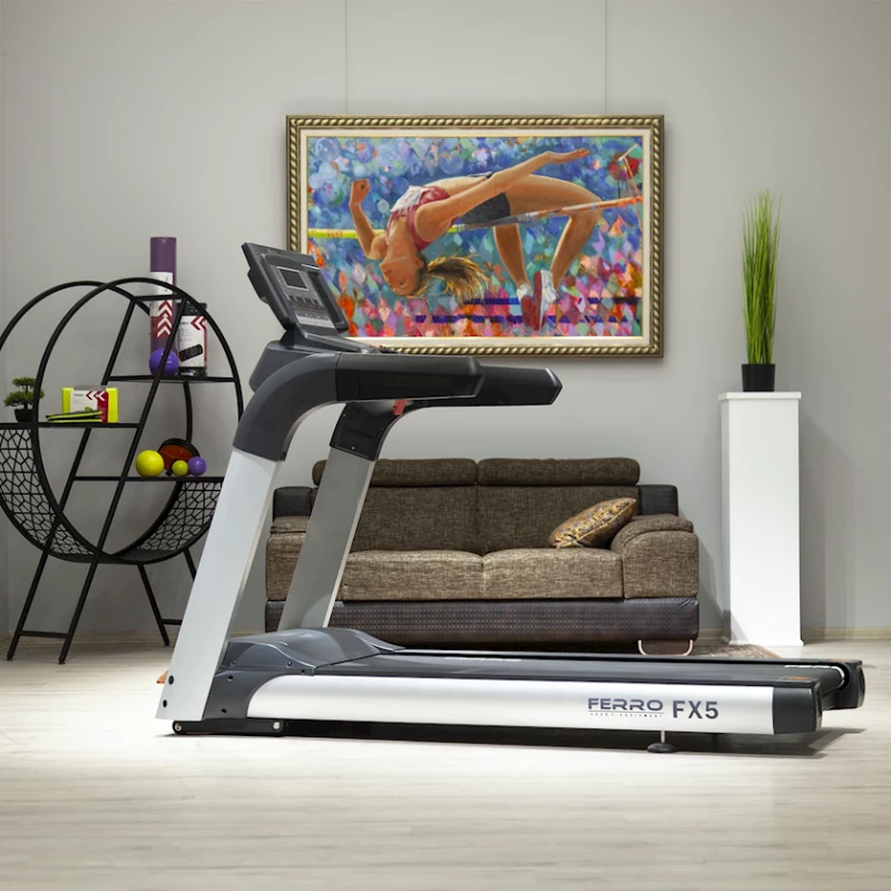 Беговая дорожка Ferro Fx5 CPT500