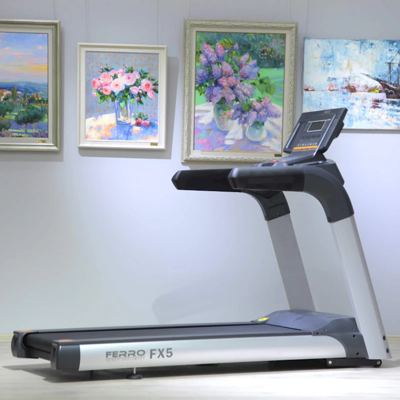 Беговая дорожка Ferro Fx5 CPT500