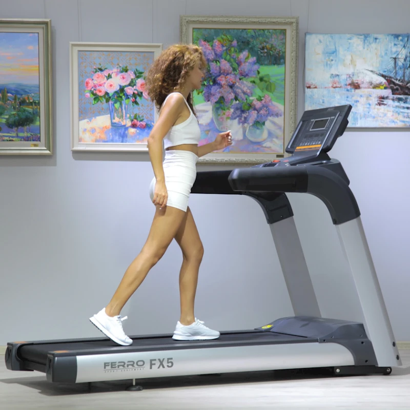 Беговая дорожка Ferro Fx5 CPT500