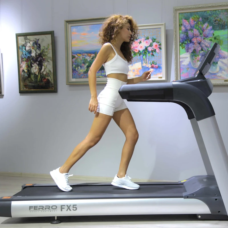 Беговая дорожка Ferro Fx5 CPT500