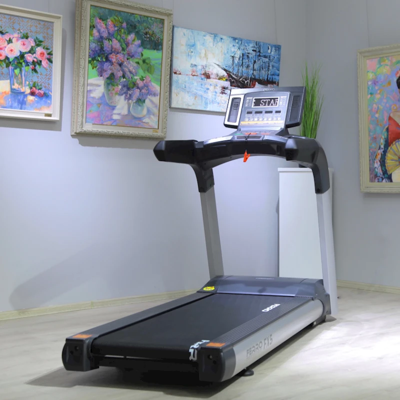 Беговая дорожка Ferro Fx5 CPT500