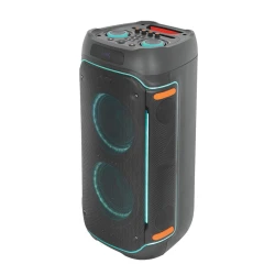 Портативная колонка Euroacs EU-S955 2x10 120W