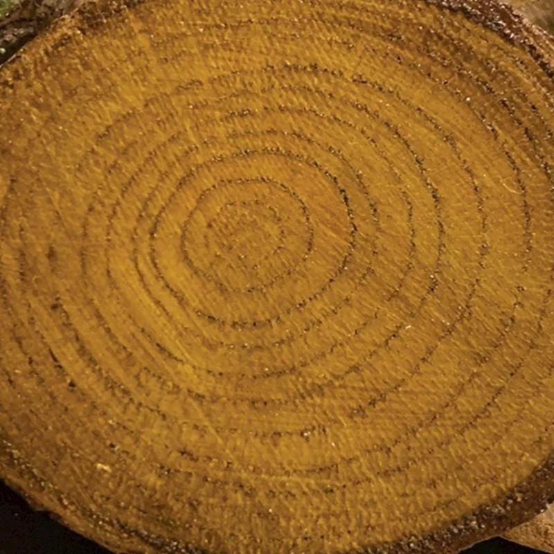 Цветной лак Cadence Colour On Colored Varnish CV-13 Oak, 90 мл