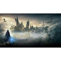 Видео-игра Hogwarts Legacy PS5 English (5051892238090)