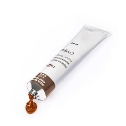 Масляная краска Гамма Студия Burnt Sienna 110, 46 мл