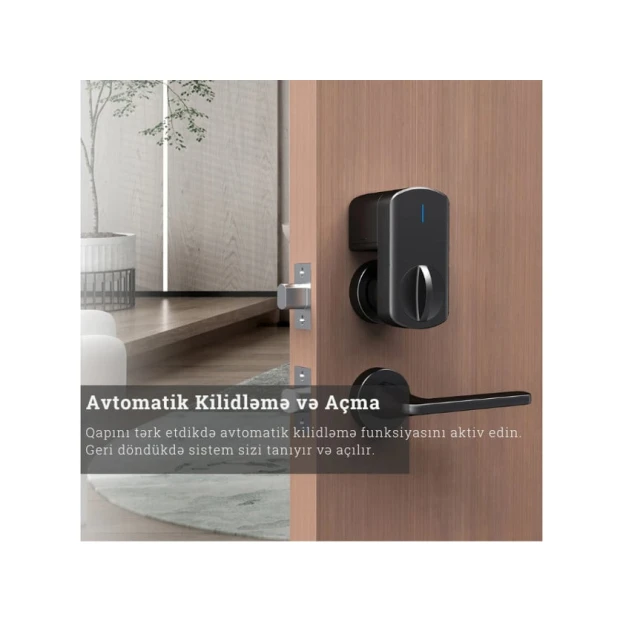 Умный дверной замок Locstar LS-C93 Tuya Умный дверной замок Locstar LS-C93 Tuya