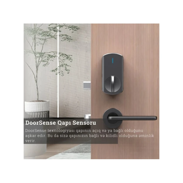 Умный дверной замок Locstar LS-C93 Tuya Умный дверной замок Locstar LS-C93 Tuya