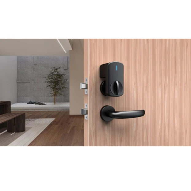 Умный дверной замок Locstar LS-C93 Tuya Умный дверной замок Locstar LS-C93 Tuya