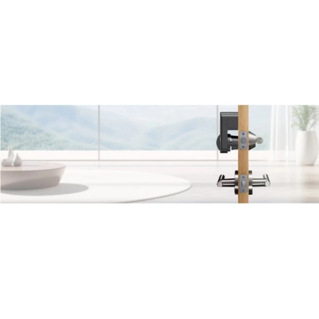 Умный дверной замок Locstar LS-C93 Tuya Умный дверной замок Locstar LS-C93 Tuya