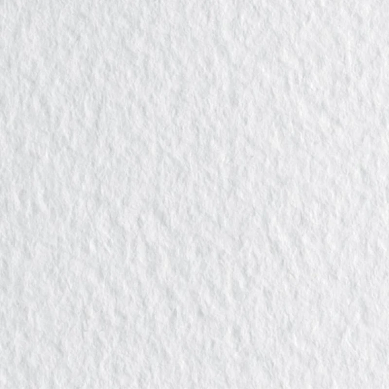 Бумага для пастели Fabriano Tiziano A3 29.7x42 см, 01 bianco, 160г/м2, белая, среднее зерно Бумага для пастели Fabriano Tiziano A3 29.7x42 см, 01 bianco, 160г/м2, белая, среднее зерно