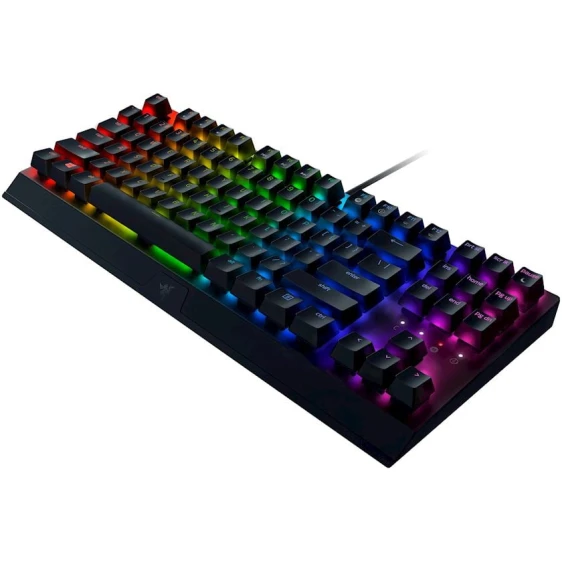 Клавиатура Razer BlackWidow V3 TKL Green Switch Black (RZ03-03490700-R3R1) Клавиатура Razer BlackWidow V3 TKL Green Switch Black (RZ03-03490700-R3R1)