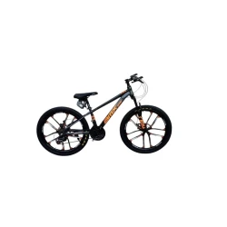 Velosiped BMX_2403, 24