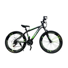 Dağ velosipedi Saft T900-24, yaşıl