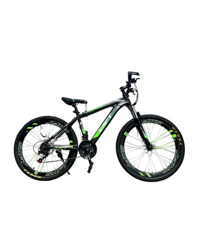Dağ velosipedi Saft T900-24, yaşıl