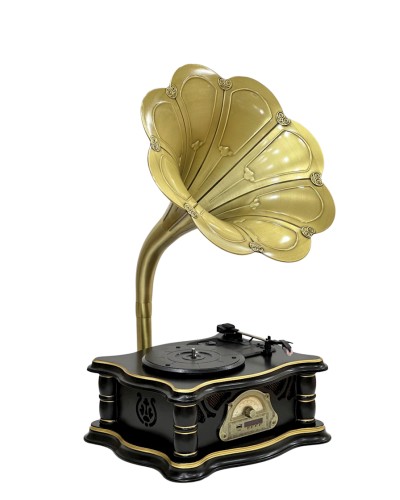Vinil plastin pleyeri Qrammofon Qara