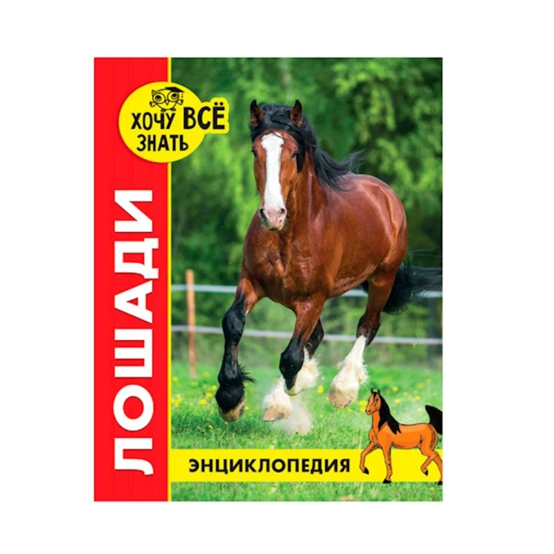 Энциклопедия. Хочу все знать. Лошади Энциклопедия. Хочу все знать. Лошади