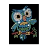Картина из пайеток Redka Kumtoys Pul Sanatı Сова, 6+ лет Картина из пайеток Redka Kumtoys Pul Sanatı Сова, 6+ лет