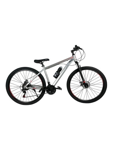 Velosiped GTR226-29 Silver
