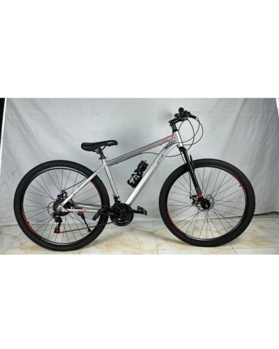 Velosiped GTR226-29 Silver