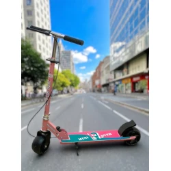 Şəhər samokatı Mini Rover M6777, çəhrayı