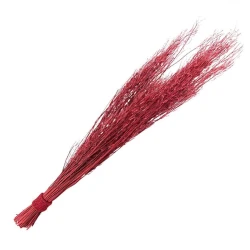 Qurudulmuş çiçəklər Clayre & Eef 5DF0036, 100 sm, çəhrayı