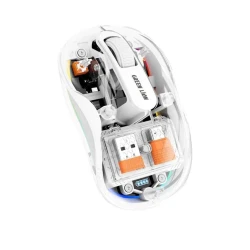 Siçan Green Lion Turtle GNTUMS2MSEWH White