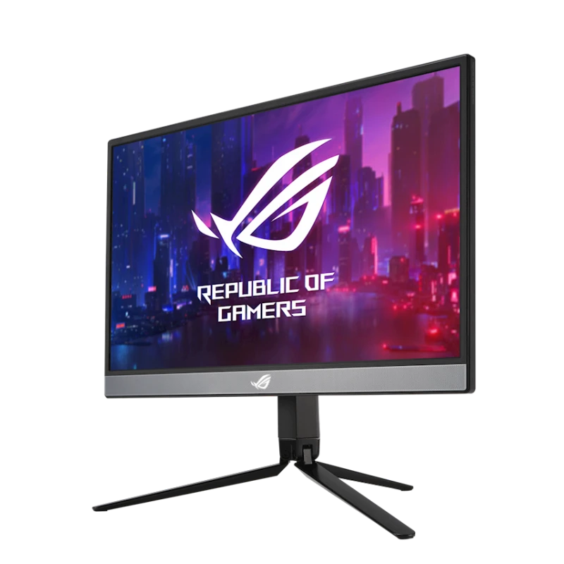 Monitor 17.3 Monitor 17.3