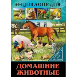 Книга В мире знаний.Домашние животные-Балуева О.